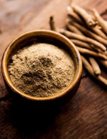 Ashwagandha and Shilajit