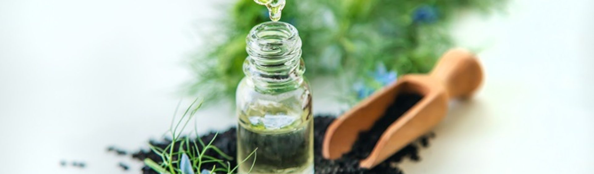 Shilajit and Black Seed Oil